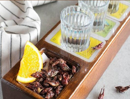 Insectos y agaves