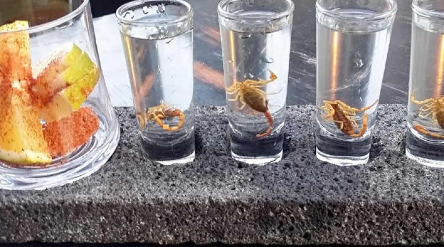Tequila Alacrán de 750 ml con Tequileros