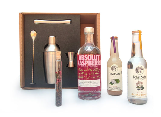 Regalo kit empresarial de Cocteleria Con Vodka Absolut