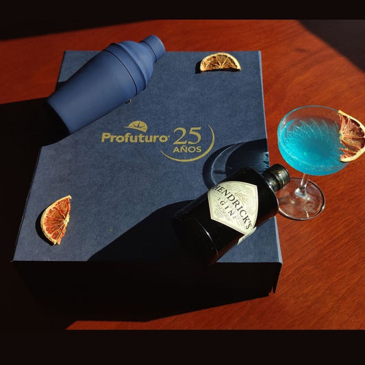 Kit de Coctelería con Gin, Vino Tinto y Rosado
